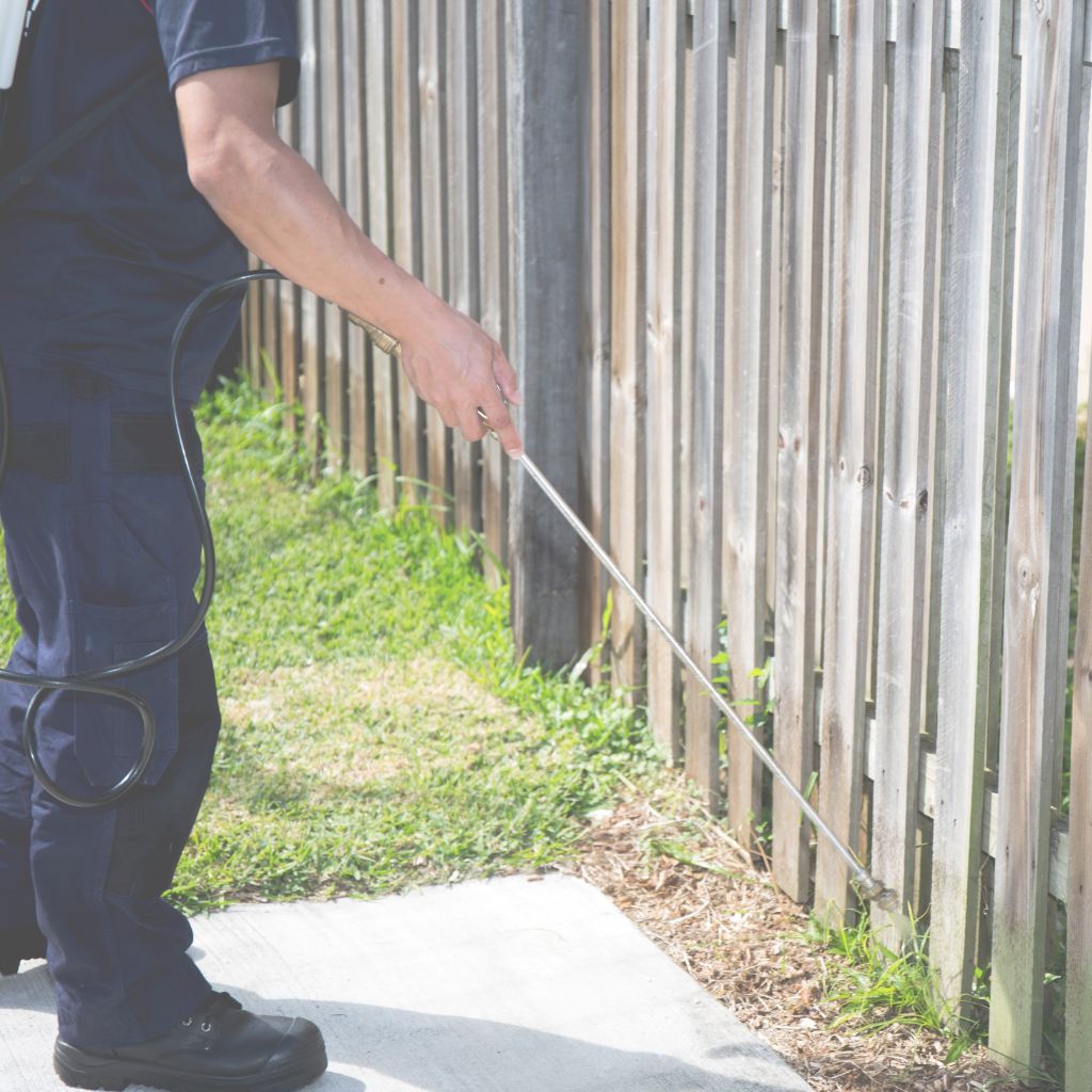 outside house treatment