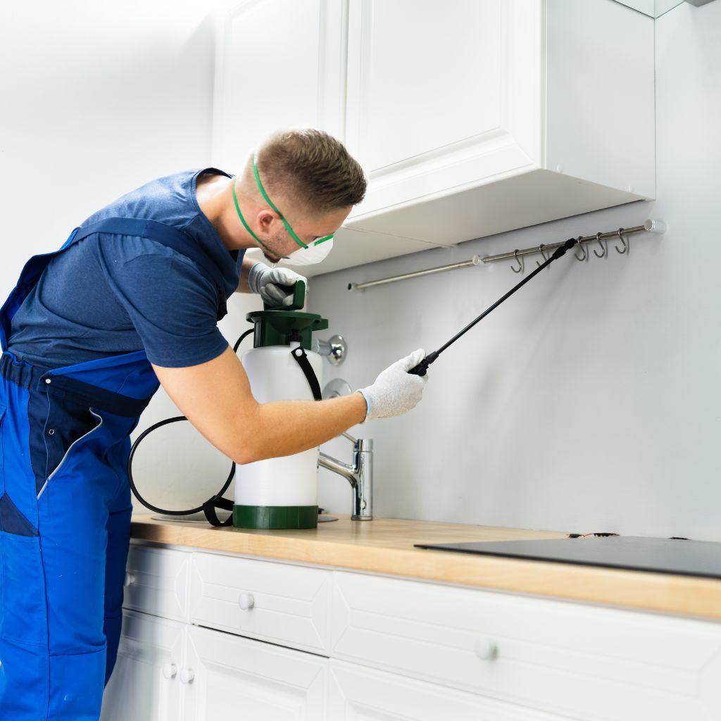 inside house treatment